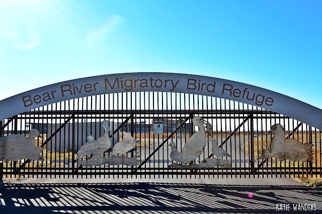 Bear River Migratory Bird Refuge