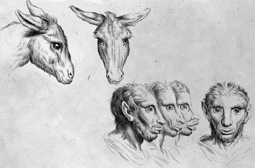 charles-le-brun-physiognomic-heads-4