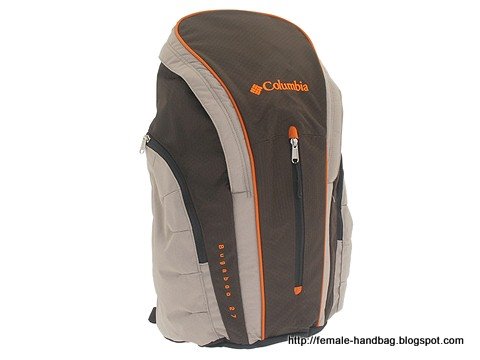 Female-handbag:handbag-1218313
