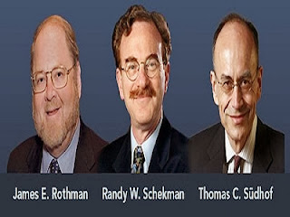 James E. Rothman,Randy W. Schekman; Thomas C. Südhof