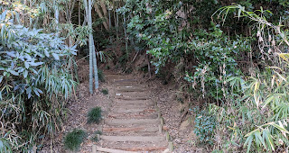 かすみがうら市・田宿天神塚古墳