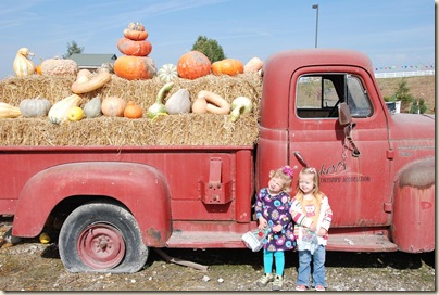 smaller pumpkin patch 030