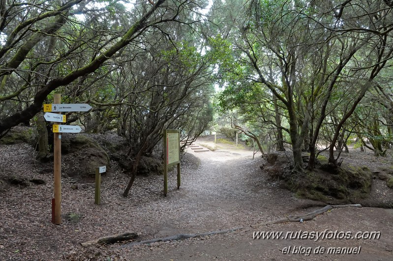 Sendero de los Sentidos - Sendero de los Enigmas