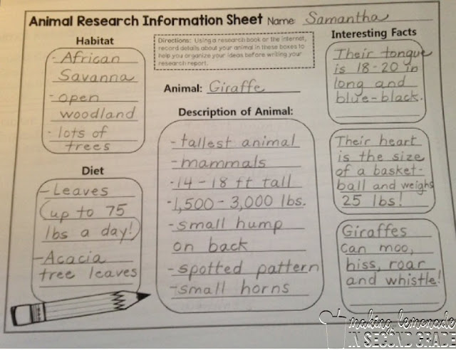 animal research project second grade