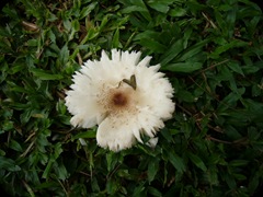 P1270262