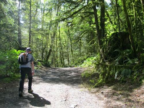 Guide To Birdwatching In The Manosphere