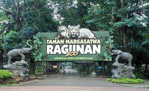 List of the Best Zoos in Indonesia, and Many Collections