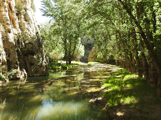 Pasarelas de Aliaga