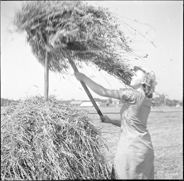 Heinätöissä; at work in July