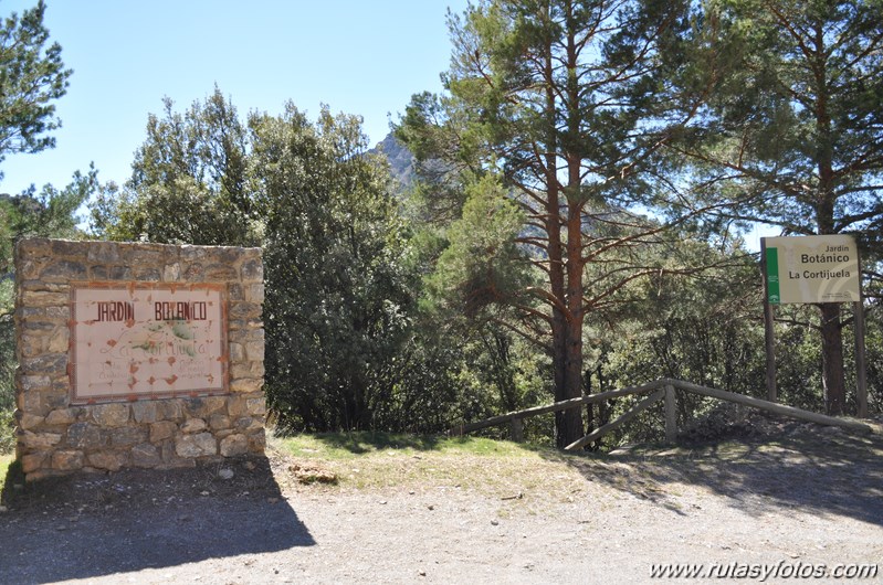 Trevenque - Cerro del Cocón - Cerro Gordo - Pico de la Carne