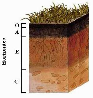Formação do solo - Exercícios resolvidos de Geologia e Pedologia