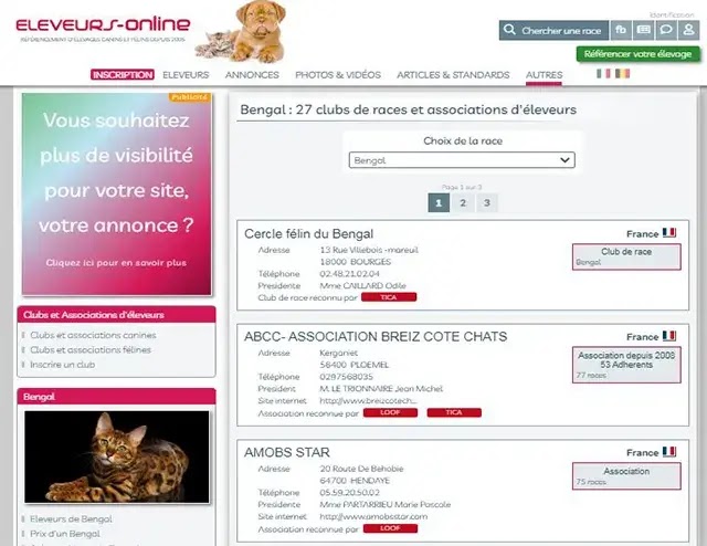 Association des chats du Bengal France