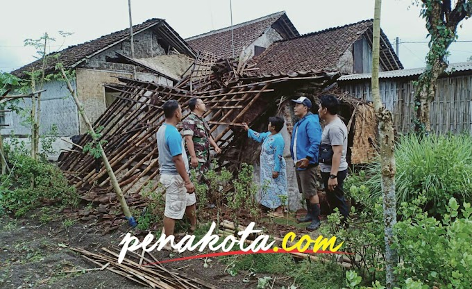Puting Beliung terjang Kalibaru, 3 pohon tumbang 
