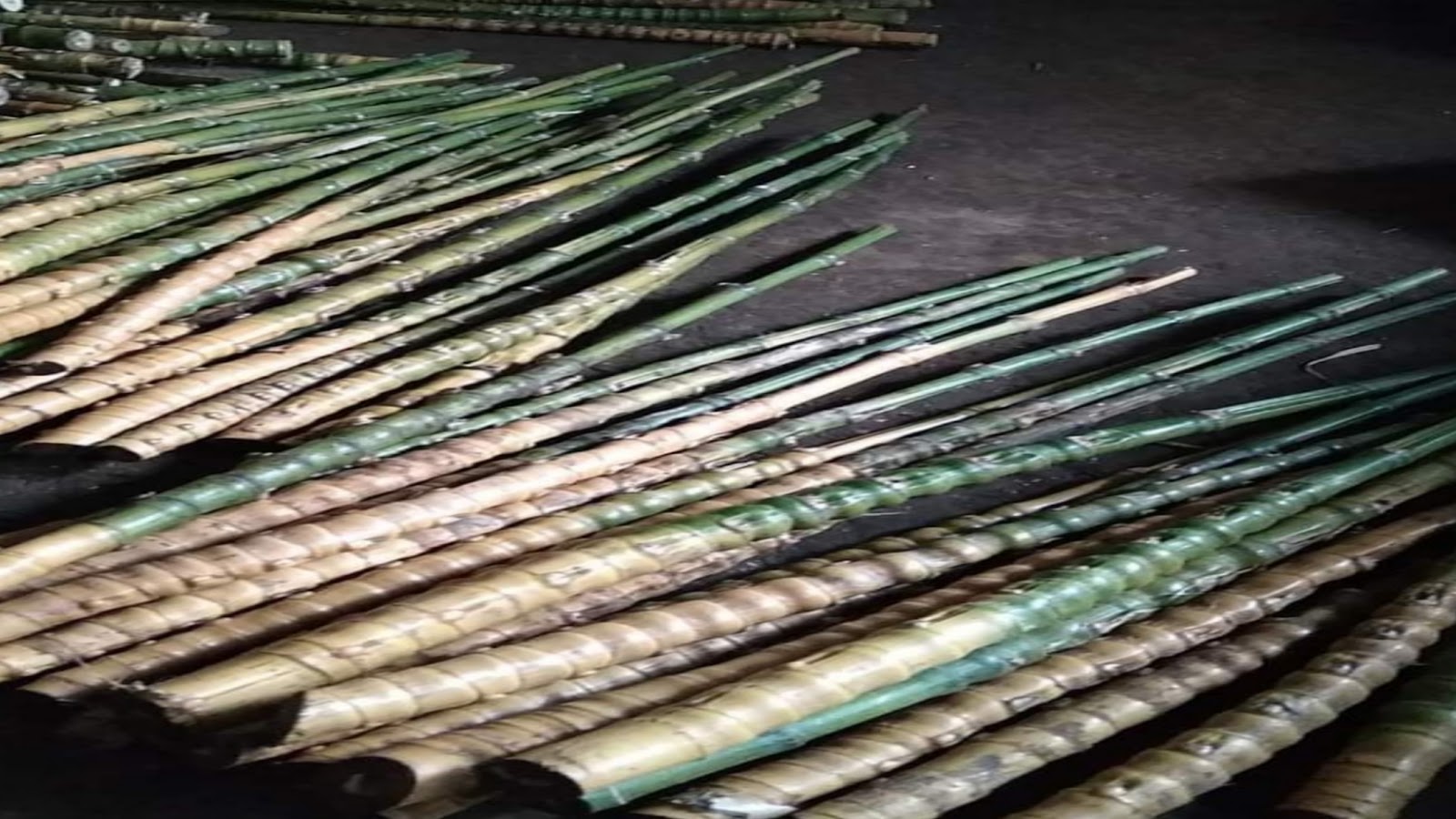 cara buat joran pancing pakai bambu cendani