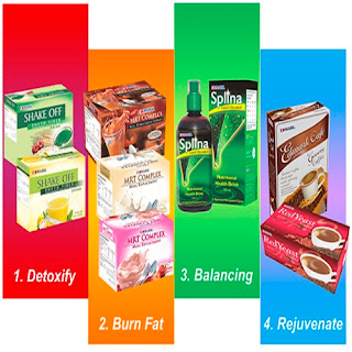  edmark slimming program p4 weight loss plan