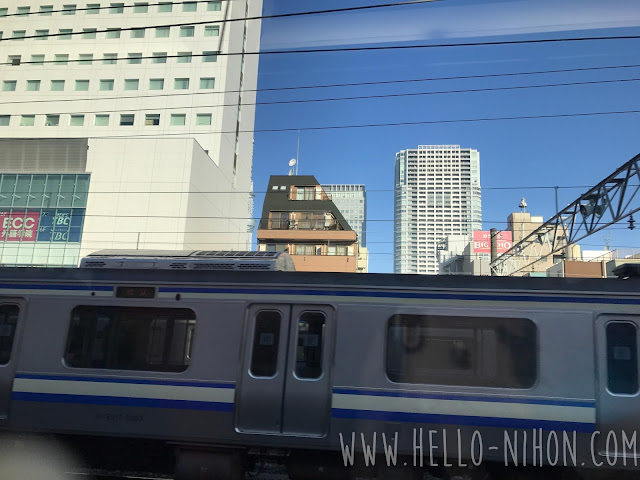 View from the Narita Express NEX