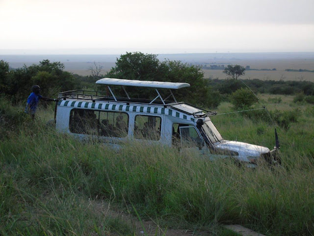 Masai Mara safari