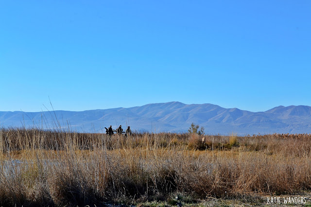 Hunters coming back to the parking area on the Bear River Migratory Bird Refuge 