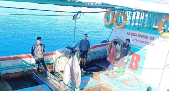 Operasional pabrik ikan tuna di Biak mampu serap tenaga kerja lokal