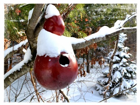 snowy birdhouse