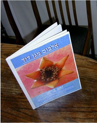 Star of David book