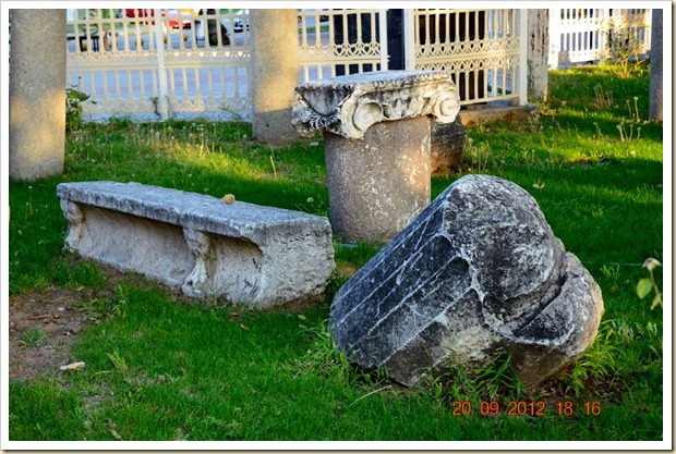 Oren DSC_0359