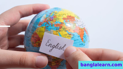 bengali to english translation questions | 100 translation from Bengali to English