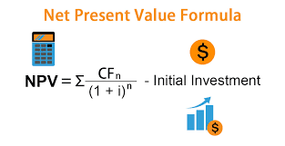 Net Present Value (NPV)