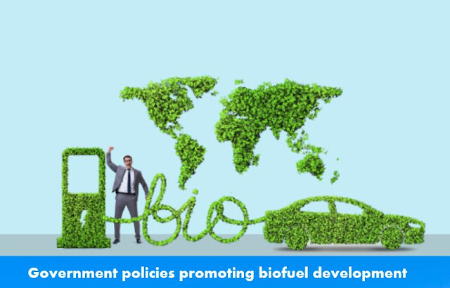 Government policies promoting biofuel development