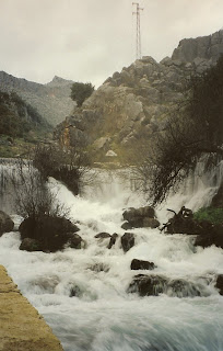 Nacimiento del Santo