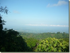 P1090246