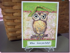 Connie's Owlie