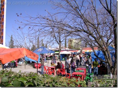 DSC03290