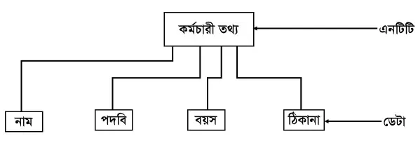 এনটিটি