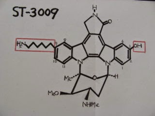 夢のＰＡＫ阻害剤 「ＳＴー３００９」： <br>ＩＣ５０＝１　ｎＭ （水溶性)