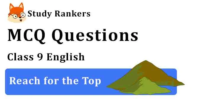 MCQ Questions for Class 9 English Chapter 8 Reach for the Top Beehive