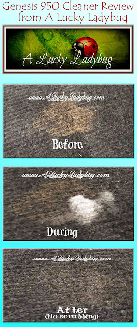Homemade Pet Stain Remover