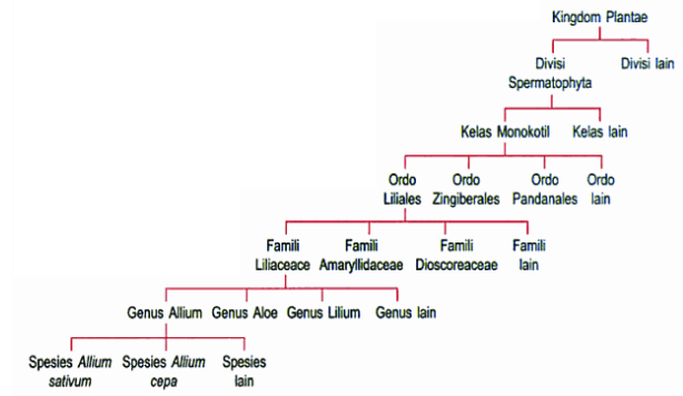 diagram klasifikasi mahluk hidup