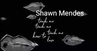 Shawn Mendes - Teach Me How To Love Lyrics