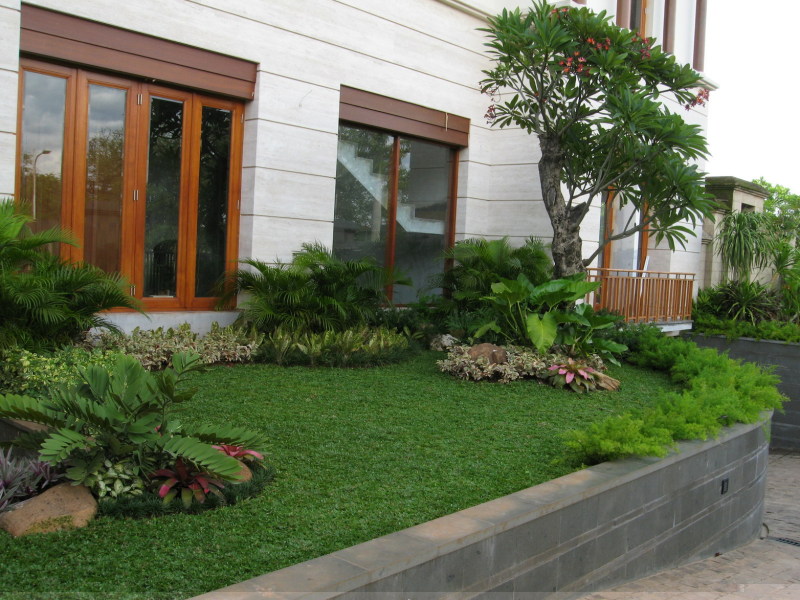 Taman Rumah Minimalis  Modern