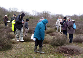 Ishpi Blatchley (second from rght) addressing a group on lichen heathland in Hayes Common