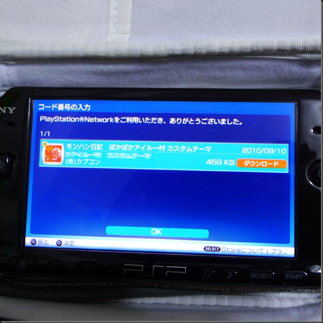 L1040628
