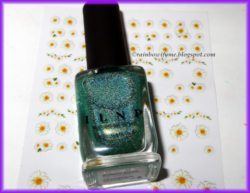 ILNP: Bermuda Breeze