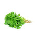 Coriander(Cleaned and Packed) ( 100g ) 