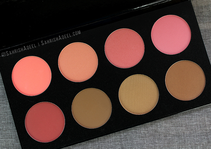 Pro Blush Palette Vol 1 by Color Studio Professional - Review & Swatches