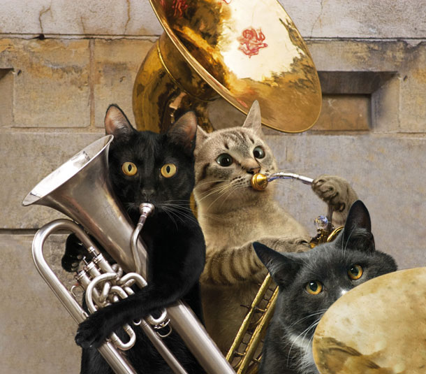 Kucing sertai brassband