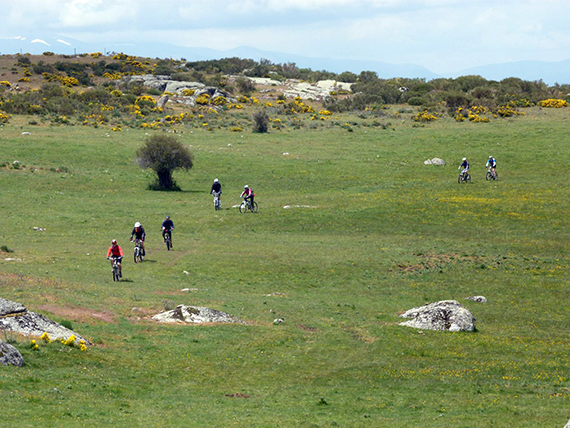 Unas fotos de nuestra ruta de Ávila a El Escorial - Junio 2013