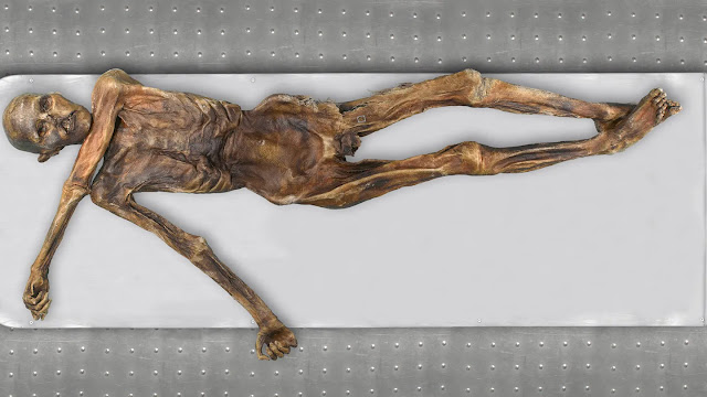 Mặc dù da của xác ướp Ötzi có màu sẫm nhưng các nhà khoa học cho rằng đó là kết quả của việc bị đóng băng trong hơn 5.000 năm. Một phân tích di truyền mới của Krause đã cho thấy Ötzi thực sự có làn da ngăm đen.