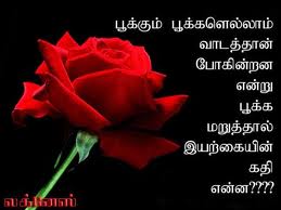 One word tamil kavithai : smsGoood Morning SmsGood Night 