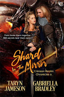 http://www.extasybooks.com/shard-in-the-mirror/